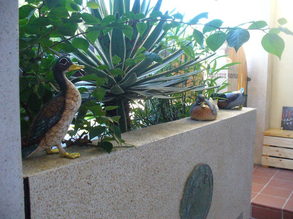 Alongs Garden Bed and Breakfast Heng-ch'un Exteriör bild